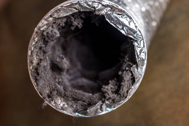 Best Ductwork Odor Removal in Pleasant Valley, MO